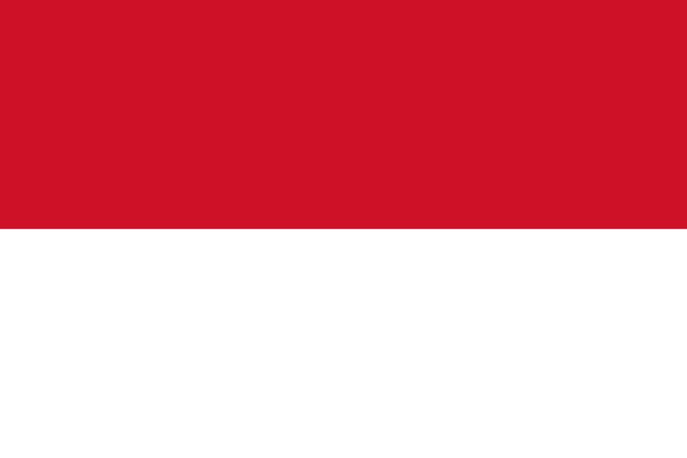 Indonesia Travel Visa Services